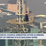 Daredevil proposal